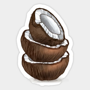 Coconut hand Drawn Fruit Sticker